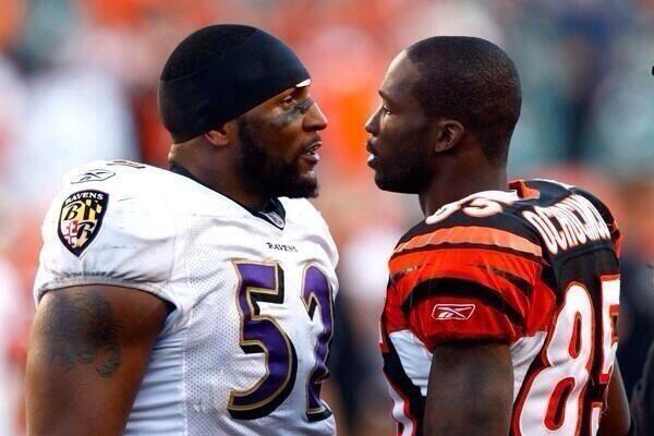 Topmatchups's tweet image. #fightmatchup Who would win a fight, Rt for Ray Lewis, Fav for Chad (ochocinco) Johnson.