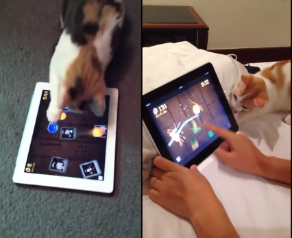 سعودي جيمر tweet media