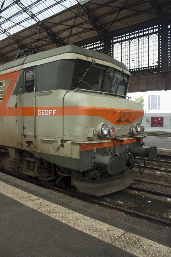 TheGeoffProject's tweet image. #thegeoffproject #geoff #Paris #Austerlitz #Sebald #trains #trainstation 365 days of Geoff No.55