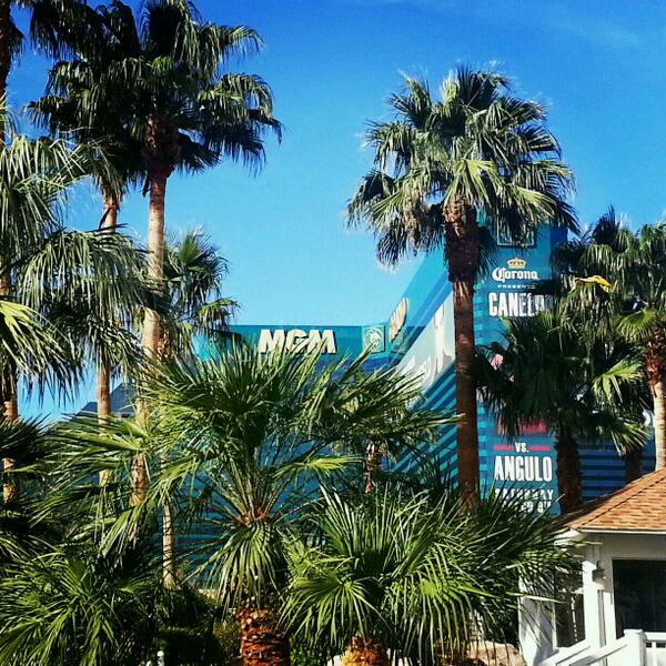 MGMGrand tweet picture