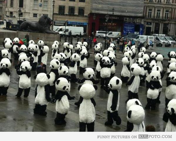 ImMrPanda tweet picture