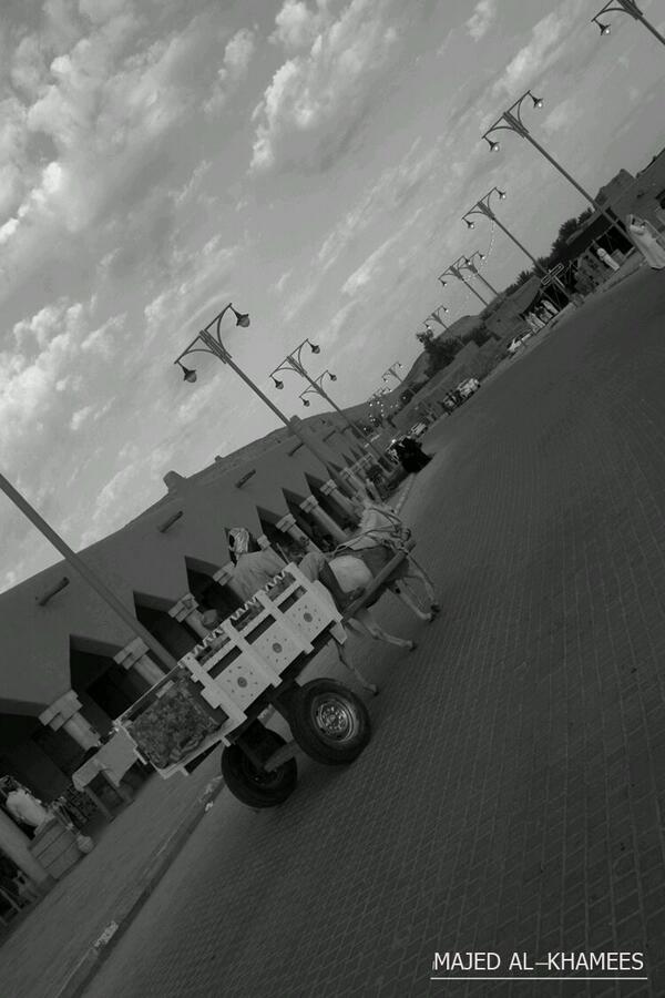 ماجد بن ناصر الخميس tweet media