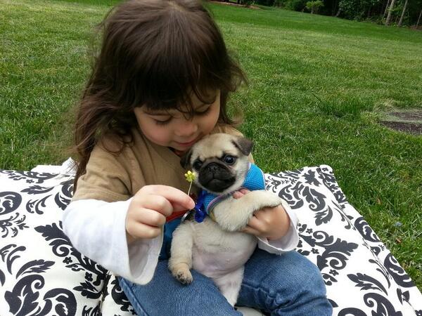 OperationAWW tweet picture