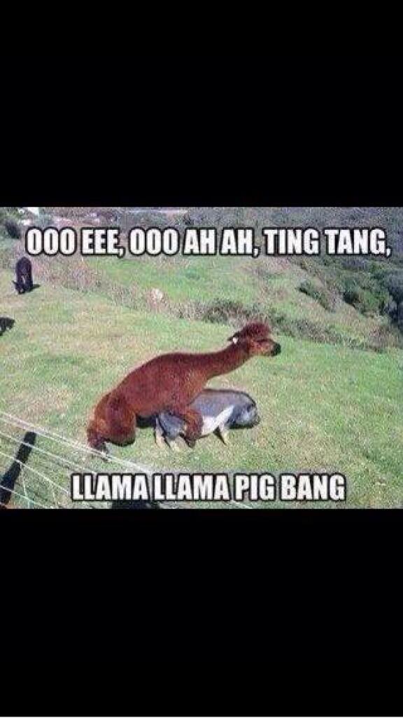 1Robbiemac's tweet photo. Haha http://t.co/UO1d1Z8y6f