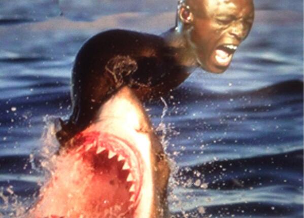 Seal's never gonna survive unless he gets a little crazy: