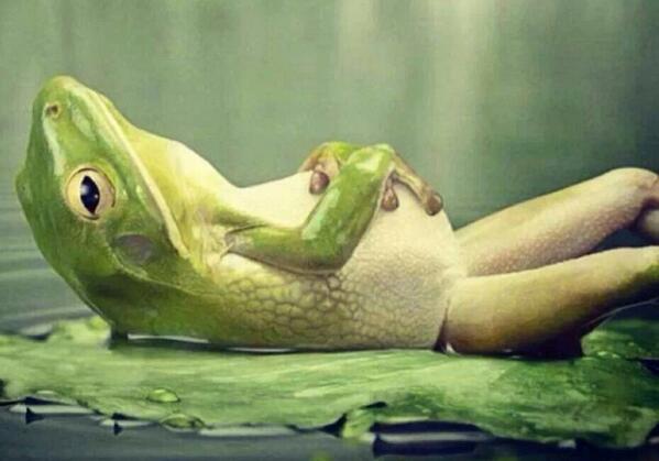 DocspaceDe's tweet image. Doc dopo i pasti!😝