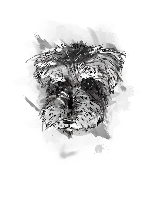 Image from puppyprincess (@puppyprincessuk)