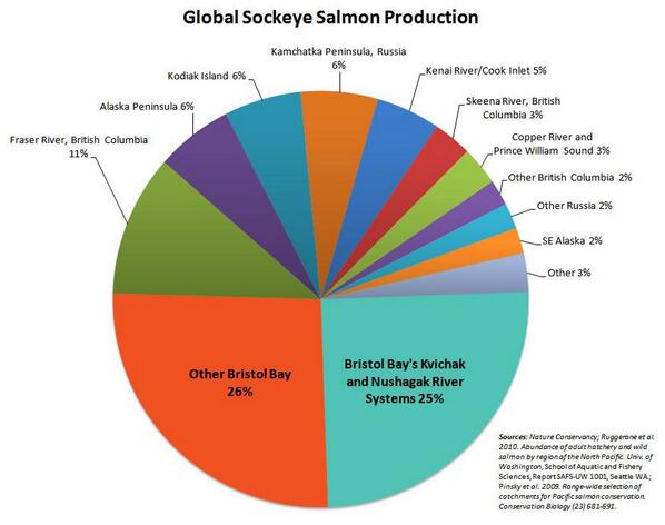 SaveBristolBay's tweet image. FACT: close to 1/2 of the world’s sockeye salmon — 47% — comes from Bristol Bay, Alaska.