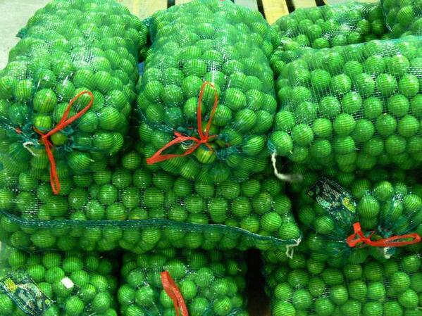 MVS Noticias tweet media