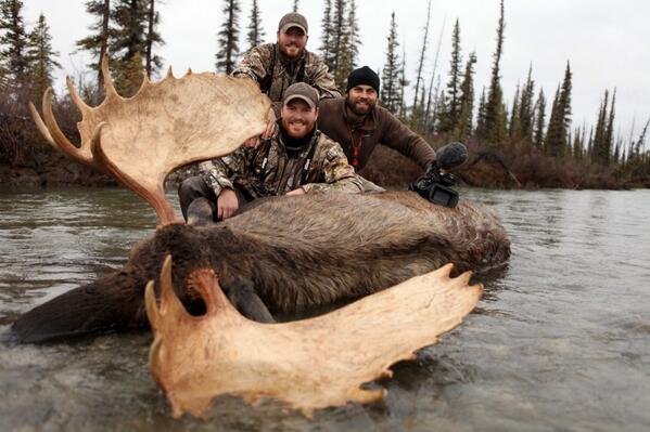 caseykeefer's tweet image. Sorry everyone I've missed almost every episode this week! Daddy duty calls...here's my bull...with the musketeers!