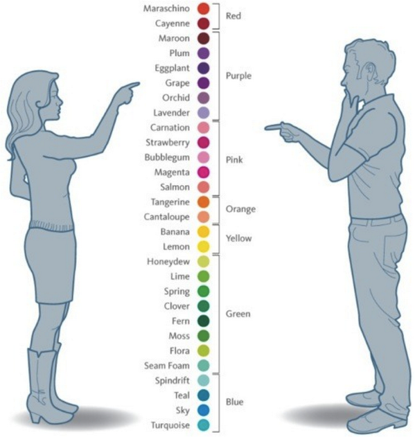 Did You Know? on Twitter: "How men and women see color http://t.co ...