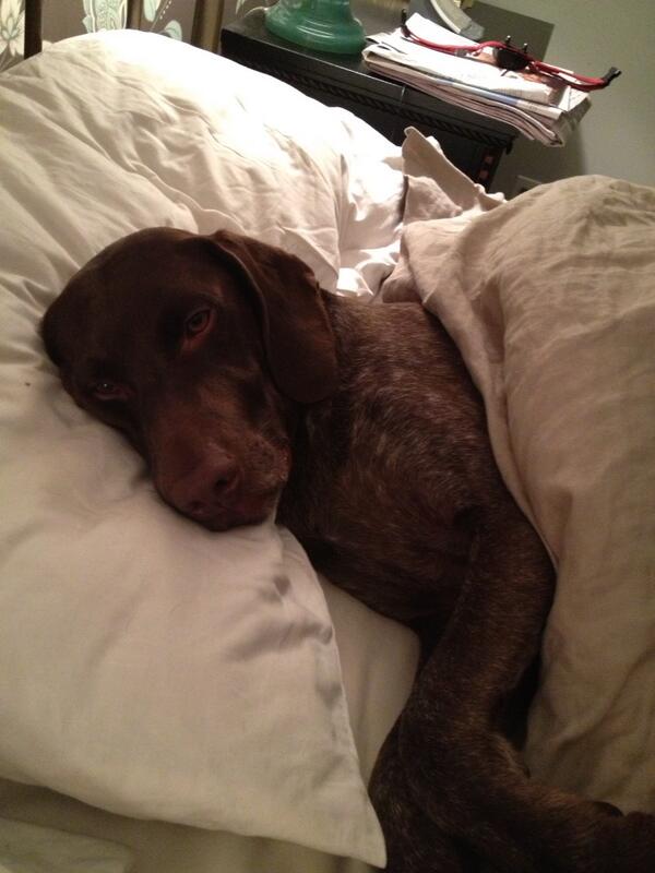 #joshloveshaironhispillow