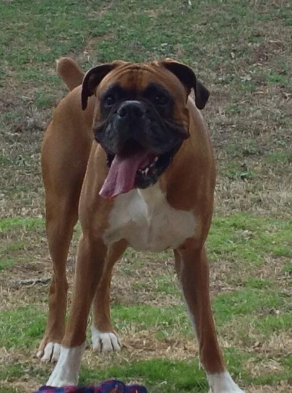 twputman's tweet image. Love this face