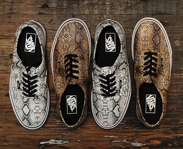 special order vans