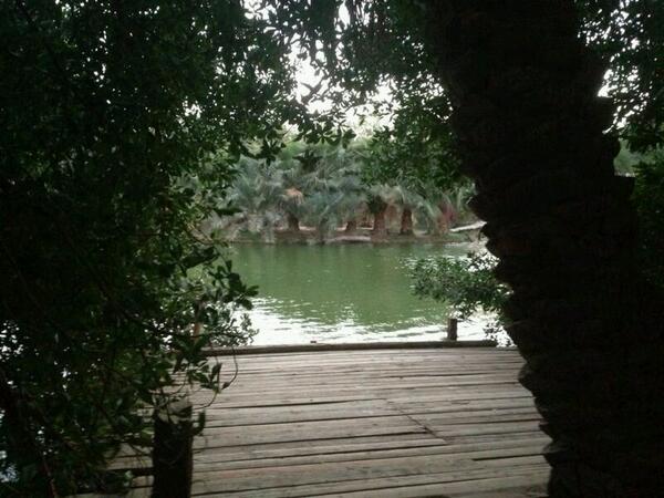 #غرد_بصورة