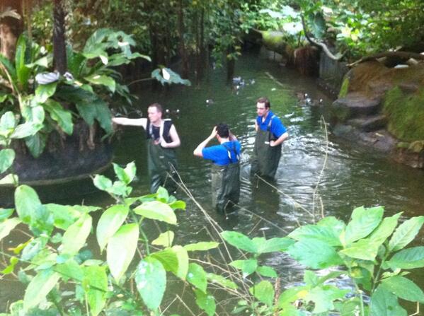 Met drie man sterk in het water nu. Ik mis alleen nog de schepnetjes.