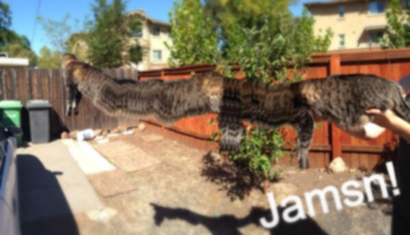 inbornintuition's tweet image. I got rhymes for you. Hot n ready#hiphop soundcloud.com/lysergicintuit…