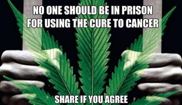 potpeople420's tweet photo. #LegalizeIt #StonerNation #cannabiscurescancer #endprohibition http://t.co/1SrS7CmVz4