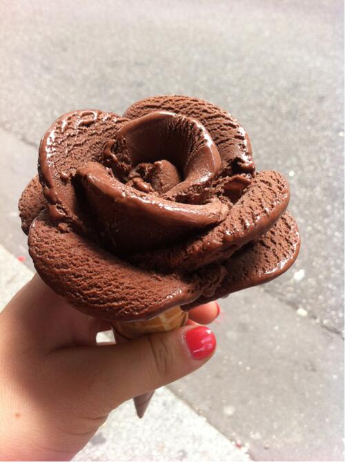 Chocolate Gelato Rose #F00DP0RN