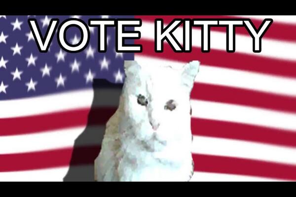 wolfe_will's tweet image. Vote kitty