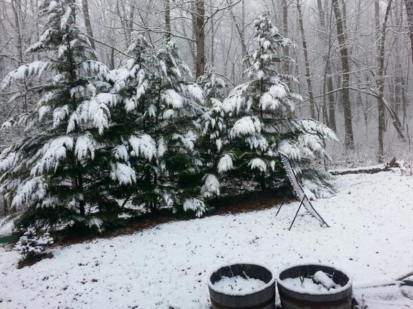 DailyWaterfall's tweet photo. Feb 2 was already over 6 weeks ago. #Punxsutawney Phil, you're fired! Back to our regularly scheduled program? http://t.co/jxp5DIcvTm