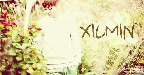 #HappyXiuminDay 
From EXO's Fan in VietNam