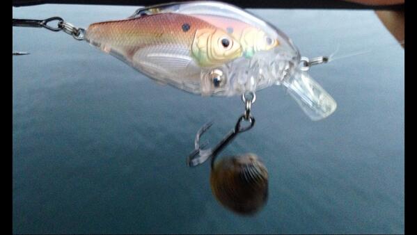 TsFishman's tweet image. 