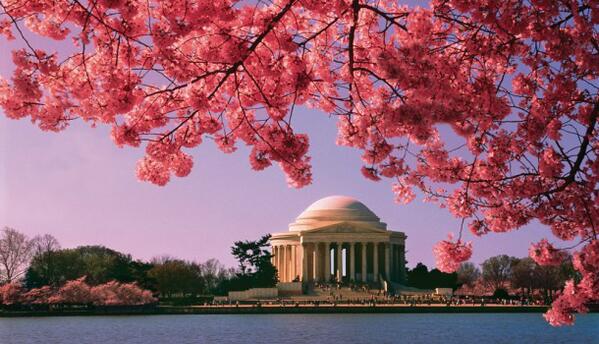 The National Cherry Blossom Festival is the nation's greatest springtime celebration washington.org/find-dc-listin…
