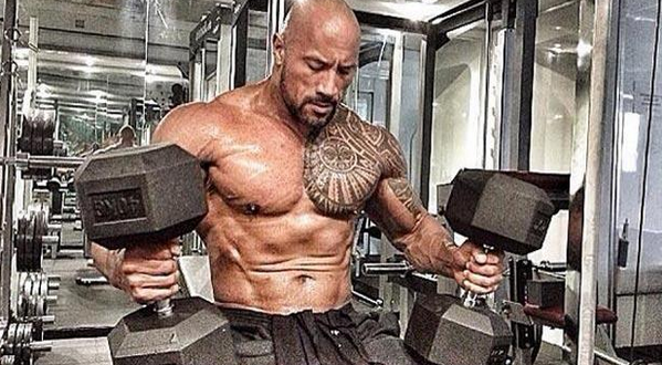 candiceelliot's tweet photo. I can't wait to see #HERCULES #DwayneJohnson This man is 41 years old... WTF is your excuse?? #damn #fitness #gains http://t.co/pcMKqG7cmy