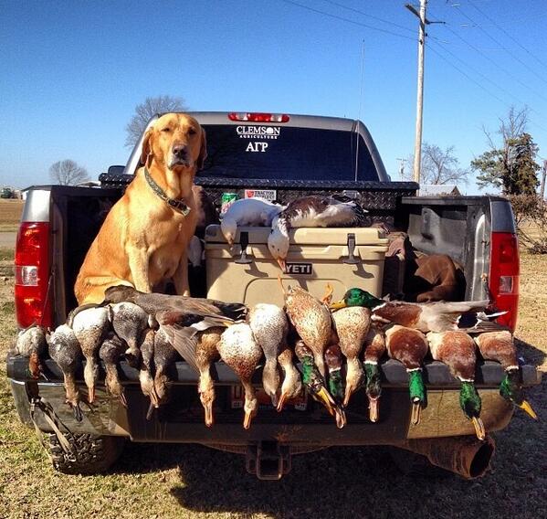 edwinbelser's tweet photo. “@totalfratmove: Starting your own duck dynasty. #TFM http://t.co/Dr0oOo5Unp”@ms_mccown