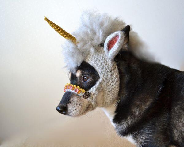 theonlygolden's tweet image. This would SO fuck #LuLu up! #CrackDog #BadLuLu
MT @FashionablyGeek: Make Your Dog A Unicorn fashionablygeek.com/costumes/make-…