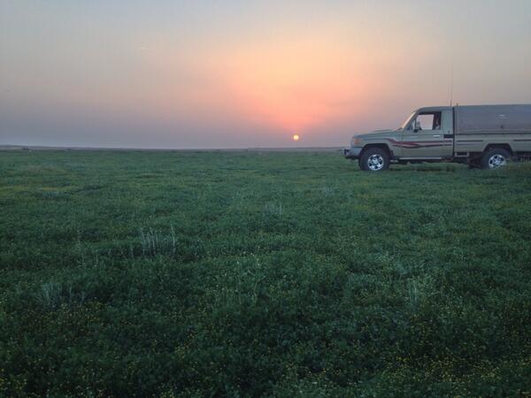 متعب المهاوش (@fzza2006) on Twitter photo 