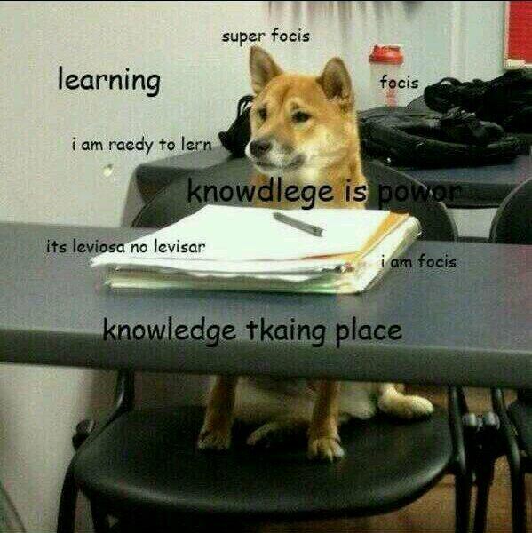 Minor_Niner's tweet image. @Alysha_Bond  Anthro tonight. #suchknowledge