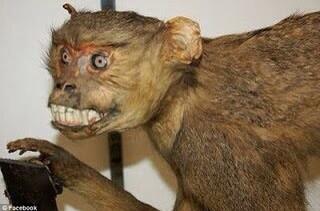 "<a href="/CrapTaxidermy/">Crap Taxidermy</a>: #nomakeupselfie "  ciao @hausofgloria