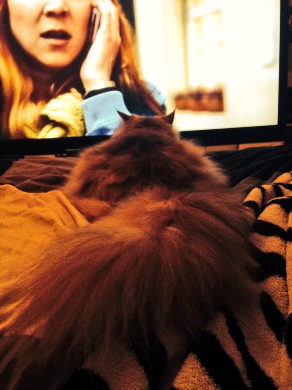 Kind, nicht so nah vorm Fernseher sitzen! 😸