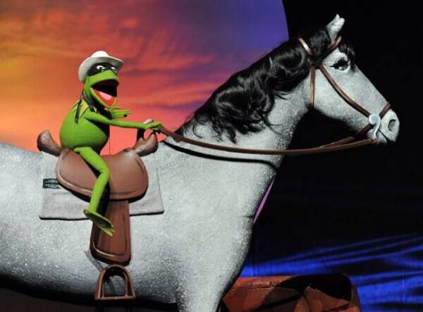yungkermit's tweet photo. when bae says she's home alone http://t.co/AVskRTIFth