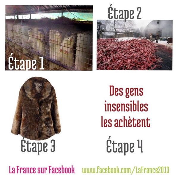 alikabbas's tweet photo. http://t.co/wvFNUIvFVM