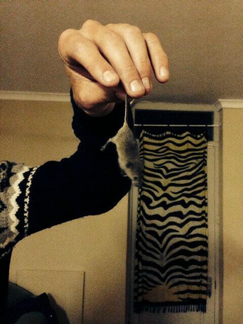 Say hello to my little friend... Defs come to visit <a href="/Mferguson102/">Morgan Ferguson</a> no doubt hey <a href="/josh_bass12/">Josh Bass</a> ??