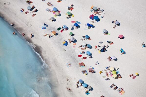 Emanuel Ungaro 🌻 tweet media