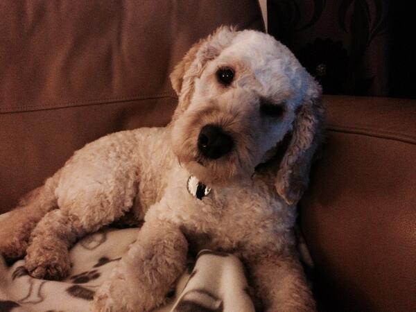 Farlane91's tweet image. 