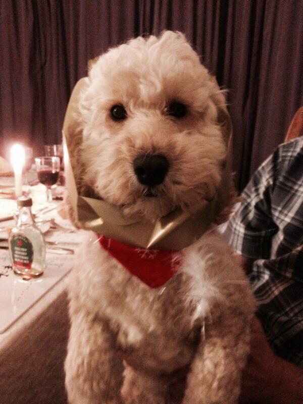 Farlane91's tweet image. 