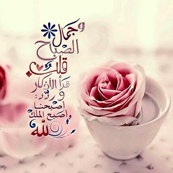 ibrahimx1 tweet picture
