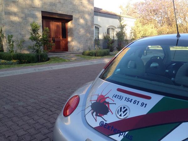 ExterPlus's tweet image. #FumigacionesProfesionales #ControlDePlagas #Cucarachas #Alacranes #Arañas