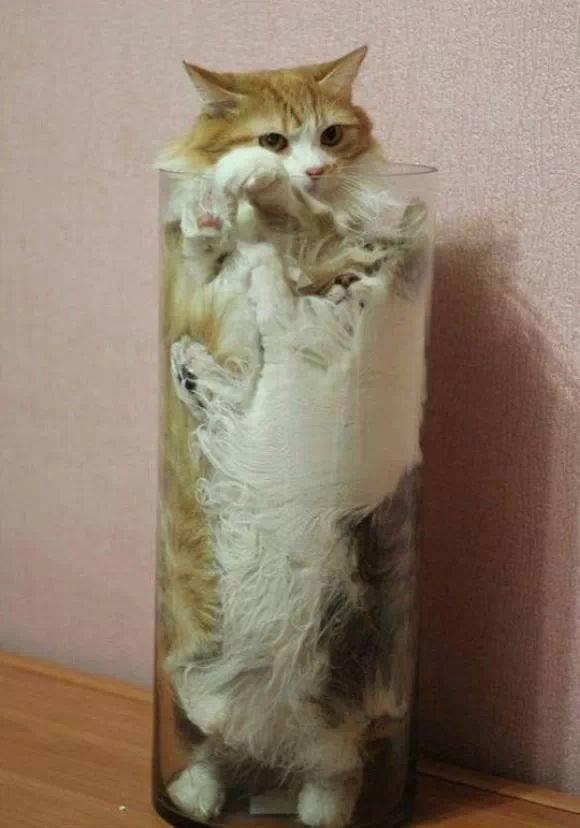 Sometimes going 1st isn't best!  "@minimalhome: that didn't go to plan did it ... boys !!! ow.ly/uY9BO  ☼"