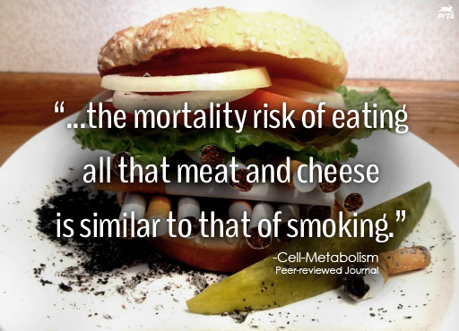 peta's tweet photo. Still want to reach for that meat & cheese?
#Things2ThinkAbout #Reasons2GoVegan http://t.co/88E9dAqzip