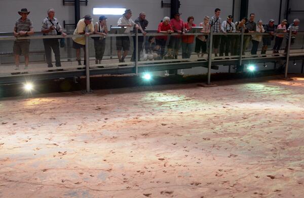 outback_aussie's tweet photo. See the only recorded #dinosaur stampede on earth. #Earlybird deals still on for April. http://t.co/nvM7yyGA4r http://t.co/oIxrYNRNtt