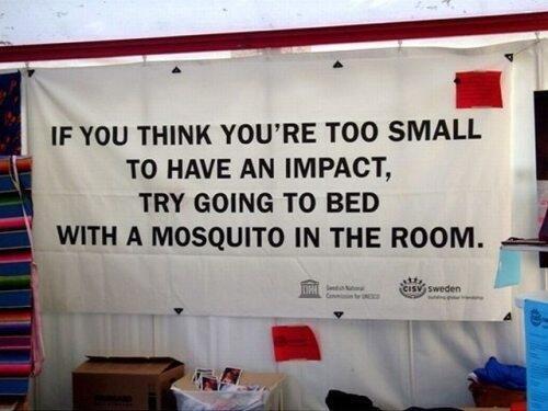 Andrew Wall tweet media