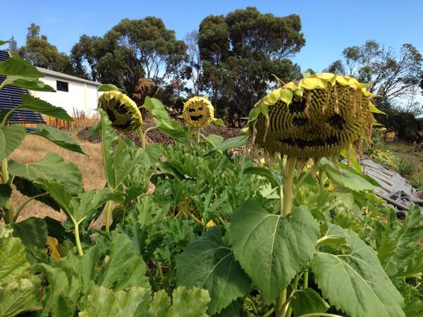 Death of summer by Kiryl