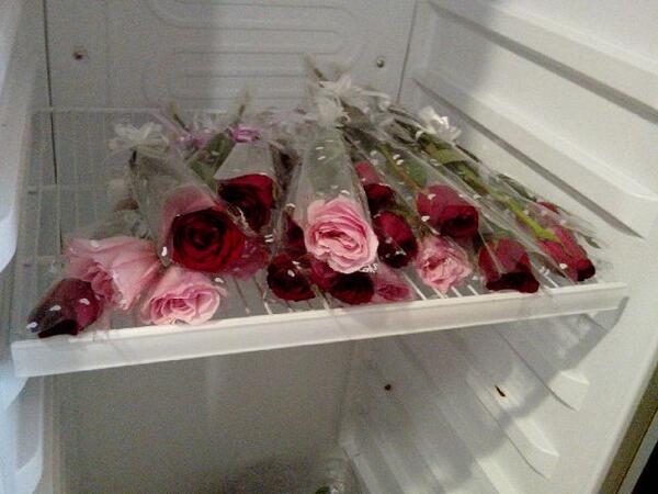 Raflorist's tweet photo. Promo akhir bulan, khusus hari ini sampai besok, bunga pertangkai hnya 10rb, :D come and order, *khusus bnga prtngkai http://t.co/2UgCByiQHi