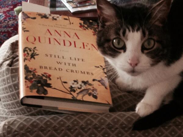 cincybookshelf's tweet photo. Delightful humorous life saving when it's 21 degrees in spring! @annaquindlen @randomhouse http://t.co/USC7lBRCFC